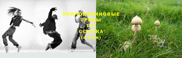 mdpv Алексин