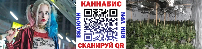 Канабис конопля  Дегтярск 